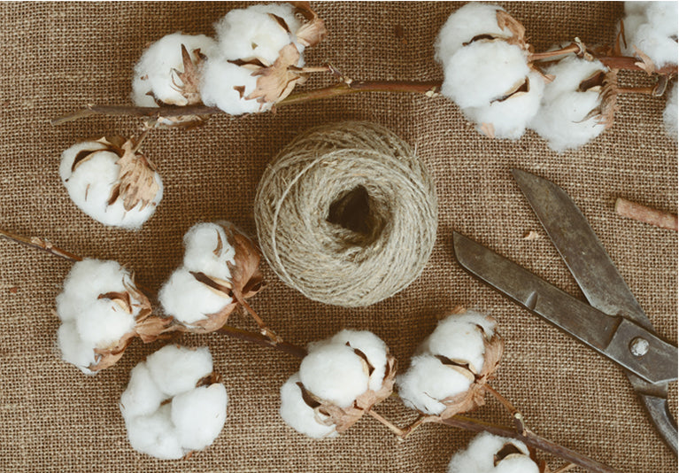 Sachi Home - How It Began